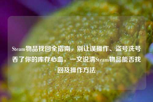 Steam物品找回全指南，别让误操作、盗号洗号吞了你的库存心血，一文说清Steam物品能否找回及操作方法