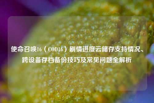 使命召唤16(COD16)剧情进度云储存支持情况、跨设备存档备份技巧及常见问题全解析