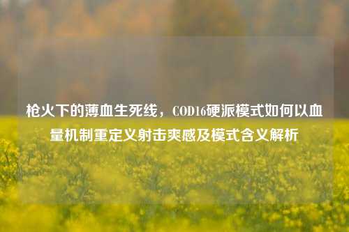 枪火下的薄血生死线，COD16硬派模式如何以血量机制重定义射击爽感及模式含义解析