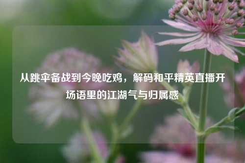 从跳伞备战到今晚吃鸡，解码和平精英直播开场语里的江湖气与归属感
