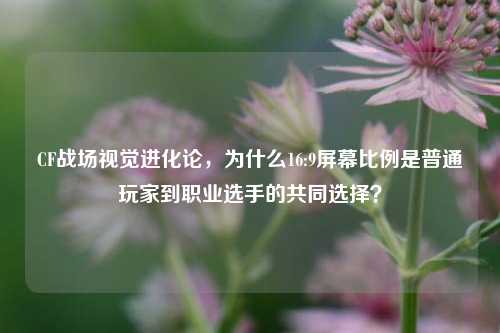 CF战场视觉进化论,为什么16:9屏幕比例是普通玩家到职业选手的共同选择?