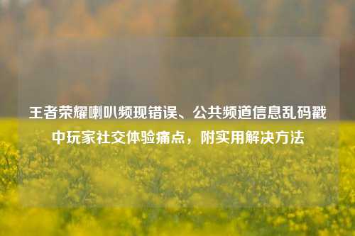 王者荣耀喇叭频现错误、公共频道信息乱码戳中玩家社交体验痛点,附实用解决方法
