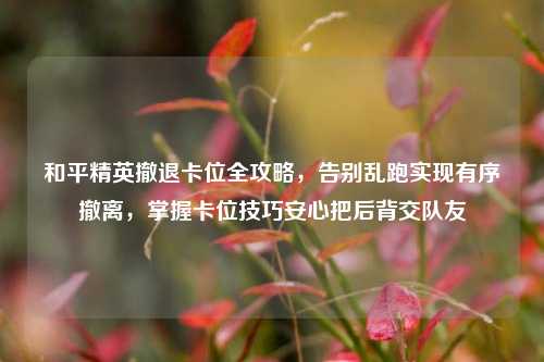 和平精英撤退卡位全攻略，告别乱跑实现有序撤离，掌握卡位技巧安心把后背交队友