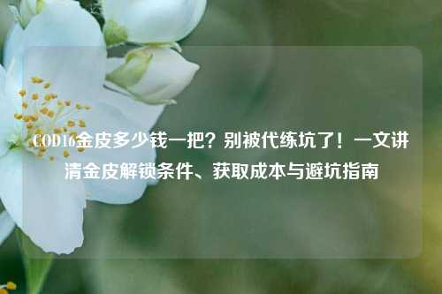 COD16金皮多少钱一把?别被代练坑了!一文讲清金皮解锁条件、获取成本与避坑指南