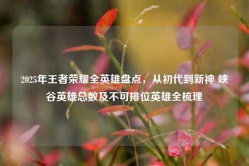 2025年王者荣耀全英雄盘点，从初代到新神 峡谷英雄总数及不可排位英雄全梳理