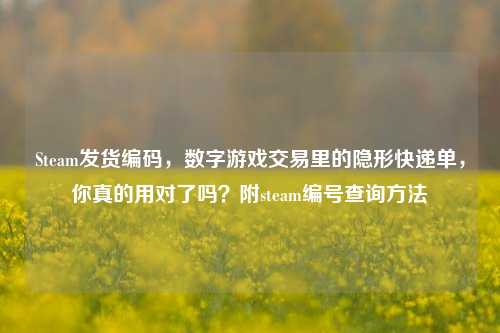 Steam发货编码,数字游戏交易里的隐形快递单,你真的用对了吗?附steam编号查询方法