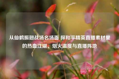 从仙鹤振翅战场名场面 探和平精英直播素材里的热血江湖、烟火温度与直播阵地