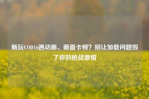 畅玩COD16遇动画、画面卡顿?别让加载问题毁了你的枪战激情