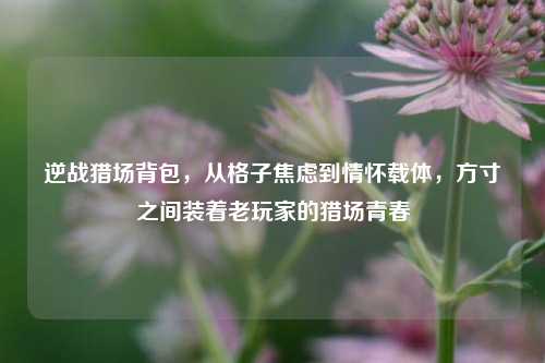 逆战猎场背包,从格子焦虑到情怀载体,方寸之间装着老玩家的猎场青春