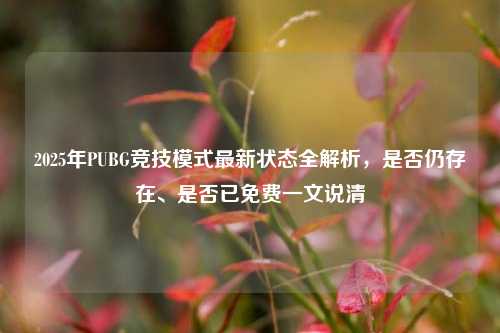 2025年PUBG竞技模式最新状态全解析,是否仍存在、是否已免费一文说清