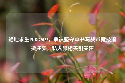 绝地求生PUBG2022,争议坚守中书写战术竞技滚烫注脚,私人服相关引关注