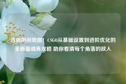 告别阴间地图！CSGO从基础设置到进阶优化的全画面调亮攻略 助你看清每个角落的敌人