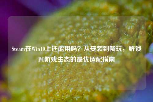 Steam在Win10上还能用吗？从安装到畅玩，解锁PC游戏生态的最优适配指南