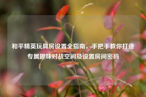 和平精英玩具房设置全指南,手把手教你打造专属趣味对战空间及设置房间密码