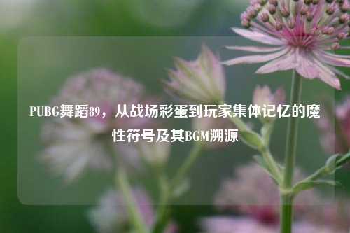 PUBG舞蹈89，从战场彩蛋到玩家集体记忆的魔性符号及其BGM溯源