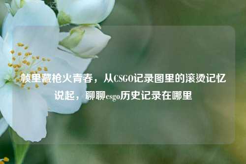 帧里藏枪火青春，从CSGO记录图里的滚烫记忆说起，聊聊csgo历史记录在哪里