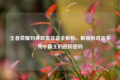 王者荣耀刘禅吸血装备全解析，解锁拆塔流不死小霸王的进阶密码