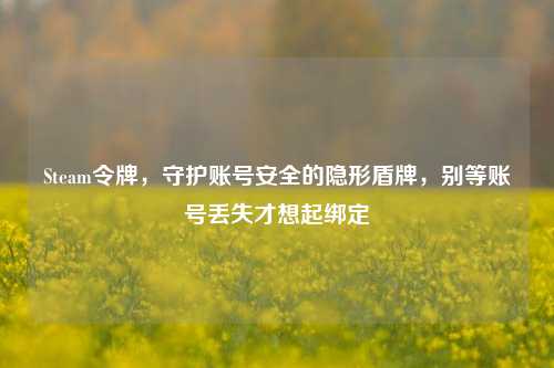 Steam令牌，守护账号安全的隐形盾牌，别等账号丢失才想起绑定