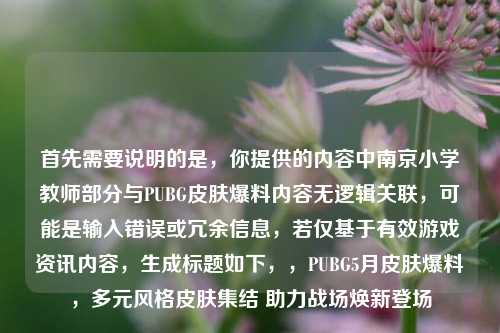 首先需要说明的是,你提供的内容中南京小学教师部分与PUBG皮肤爆料内容无逻辑关联,可能是输入错误或冗余信息,若仅基于有效游戏资讯内容,生成标题如下,,PUBG5月皮肤爆料,多元风格皮肤集结 助力战场焕新登场