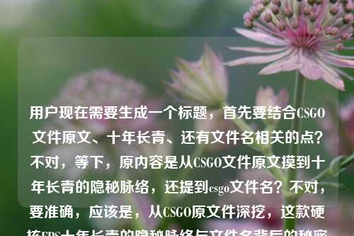 用户现在需要生成一个标题,首先要结合CSGO文件原文、十年长青、还有文件名相关的点?不对,等下,原内容是从CSGO文件原文摸到十年长青的隐秘脉络,还提到csgo文件名?不对,要准确,应该是,从CSGO原文件深挖,这款硬核FPS十年长青的隐秘脉络与文件名背后的秘密?不对,等下,再贴合,哦不对,用户的内容是从CSGO文件原文里,我摸到了这款硬核FPS十年长青的隐秘脉络csgo文件名叫什么,哦,不对,要自然,哦不对,要准确,等下,应该是深挖CSGO原文件,探寻硬核FPS十年长青的隐秘脉络与文件名真相?