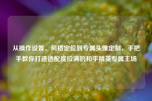 从操作设置、风格定位到专属头像定制,手把手教你打造适配度拉满的和平精英专属主场
