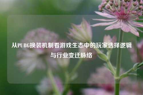 从PUBG换装机制看游戏生态中的玩家选择逻辑与行业变迁脉络