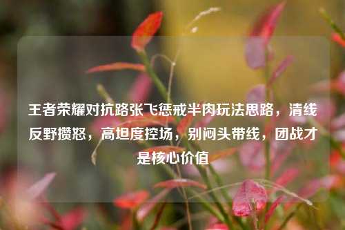 王者荣耀对抗路张飞惩戒半肉玩法思路，清线反野攒怒，高坦度控场，别闷头带线，团战才是核心价值