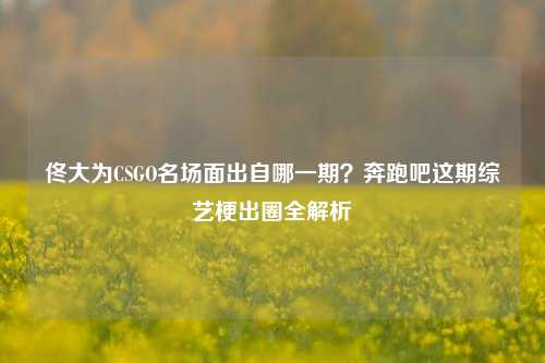 佟大为CSGO名场面出自哪一期？奔跑吧这期综艺梗出圈全解析