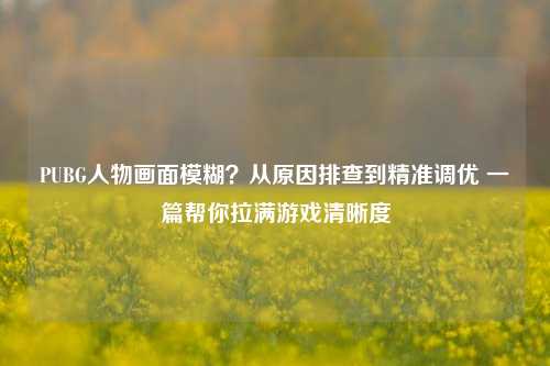 PUBG人物画面模糊?从原因排查到精准调优 一篇帮你拉满游戏清晰度