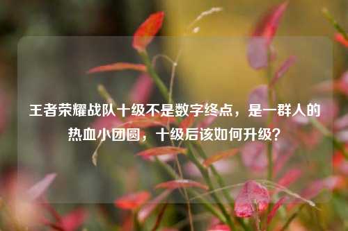 王者荣耀战队十级不是数字终点,是一群人的热血小团圆,十级后该如何升级?