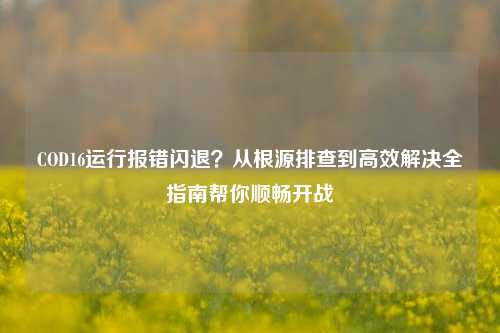 COD16运行报错闪退?从根源排查到高效解决全指南帮你顺畅开战