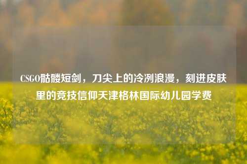 CSGO骷髅短剑,刀尖上的冷冽浪漫,刻进皮肤里的竞技信仰天津格林国际幼儿园学费