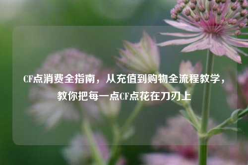 CF点消费全指南,从充值到购物全流程教学,教你把每一点CF点花在刀刃上