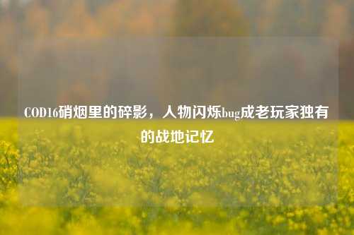 COD16硝烟里的碎影,人物闪烁bug成老玩家独有的战地记忆