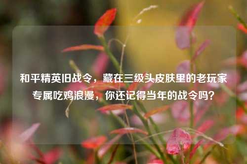 和平精英旧战令,藏在三级头皮肤里的老玩家专属吃鸡浪漫,你还记得当年的战令吗?