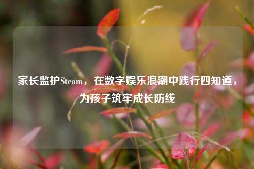 家长监护Steam,在数字娱乐浪潮中践行四知道,为孩子筑牢成长防线