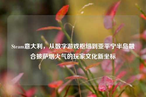 Steam意大利，从数字游戏枢纽到亚平宁半岛融合披萨烟火气的玩家文化新坐标