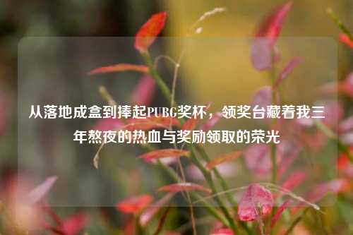 从落地成盒到捧起PUBG奖杯，领奖台藏着我三年熬夜的热血与奖励领取的荣光