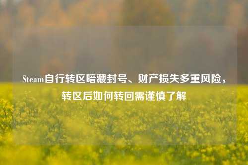 Steam自行转区暗藏封号、财产损失多重风险，转区后如何转回需谨慎了解