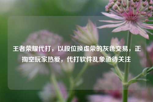 王者荣耀代打，以段位换虚荣的灰色交易，正掏空玩家热爱，代打软件乱象亟待关注