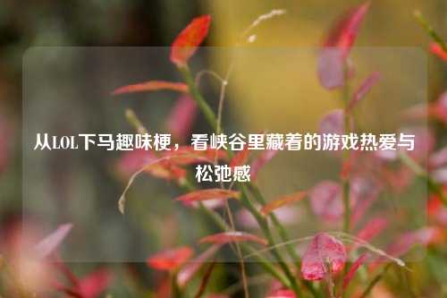 从LOL下马趣味梗，看峡谷里藏着的游戏热爱与松弛感