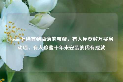 Steam上稀有到离谱的宝藏,有人斥资数万买启动项,有人珍藏十年未安装的稀有成就