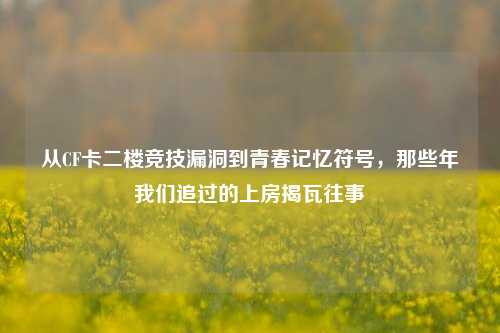 从CF卡二楼竞技漏洞到青春记忆符号，那些年我们追过的上房揭瓦往事