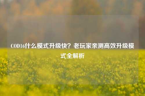 COD16什么模式升级快?老玩家亲测高效升级模式全解析