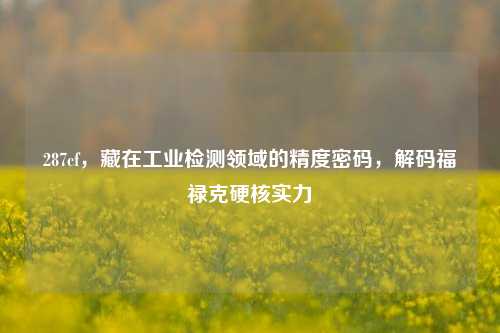 287cf，藏在工业检测领域的精度密码，解码福禄克硬核实力