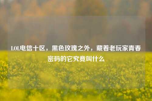 LOL电信十区，黑色玫瑰之外，藏着老玩家青春密码的它究竟叫什么