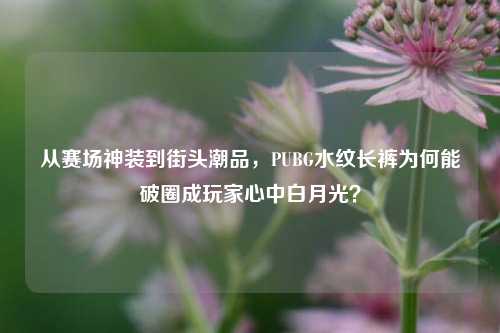 从赛场神装到街头潮品，PUBG水纹长裤为何能破圈成玩家心中白月光？