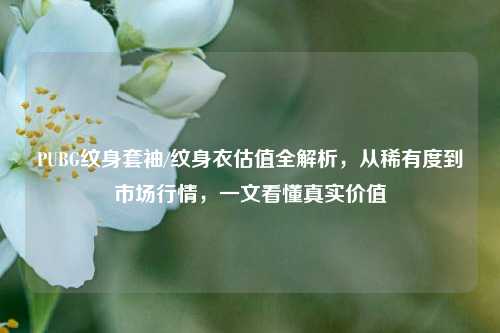 PUBG纹身套袖/纹身衣估值全解析，从稀有度到市场行情，一文看懂真实价值