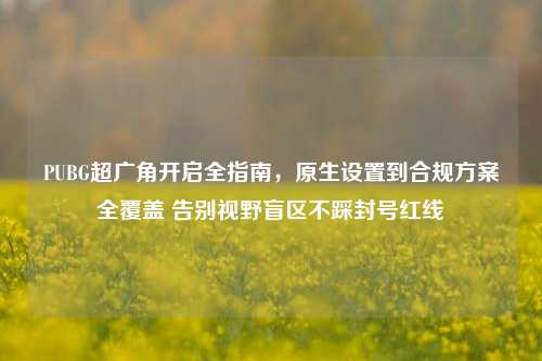 PUBG超广角开启全指南,原生设置到合规方案全覆盖 告别视野盲区不踩封号红线