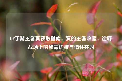 CF手游王者葵获取指南，葵的王者收藏，诠释战场上的致命优雅与情怀共鸣